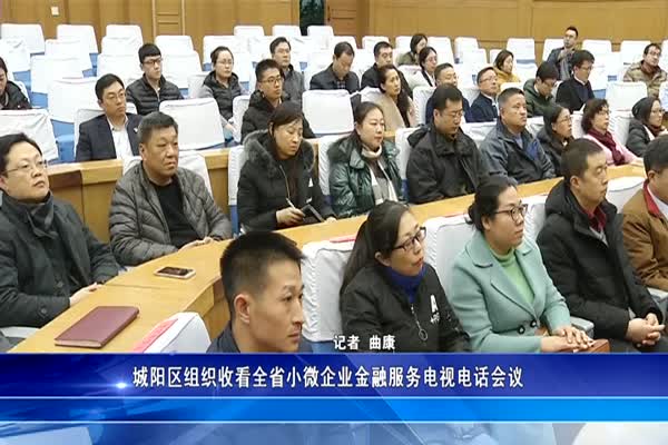 城阳区组织收看全省小微企业金融服务电视电话会议