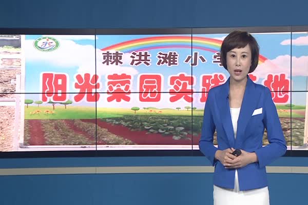 棘洪滩小学阳光菜园 “学校里的一亩三分地儿”