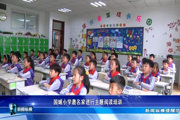 国城小学邀名家进行主题阅读培训