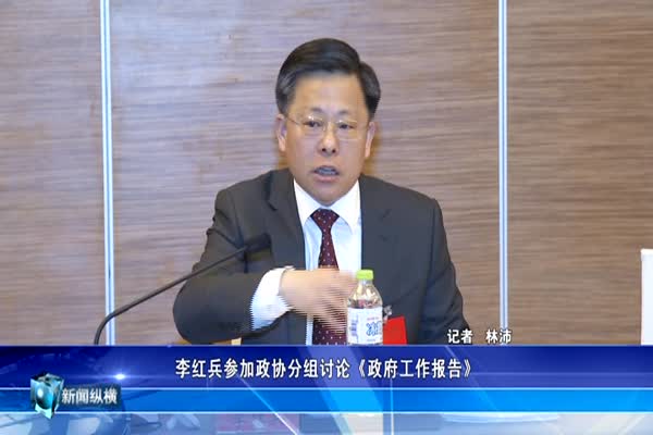 李红兵参加政协分组讨论《政府工作报告》