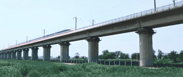 258e956352994d98b27a631d550ca9d2.gif