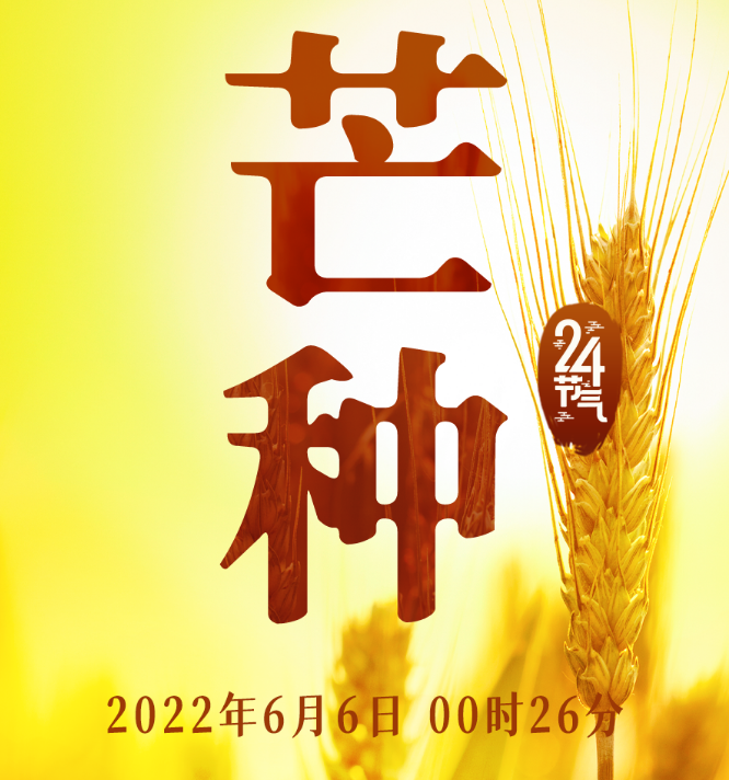 2eabb4d8ab404a529ff9397df2397e0e.png