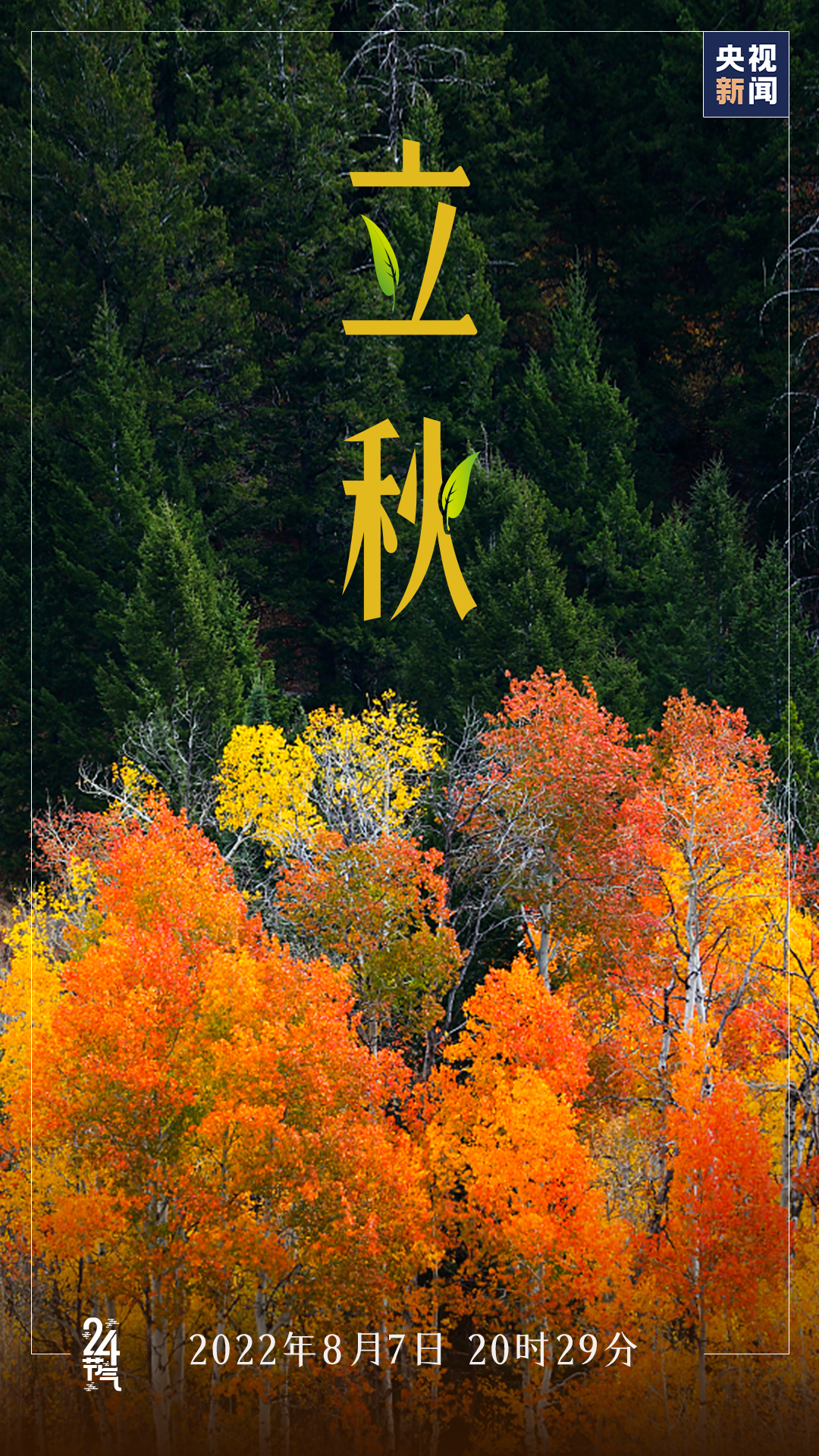 d601ff4773f0411eb08eddb807074835.png