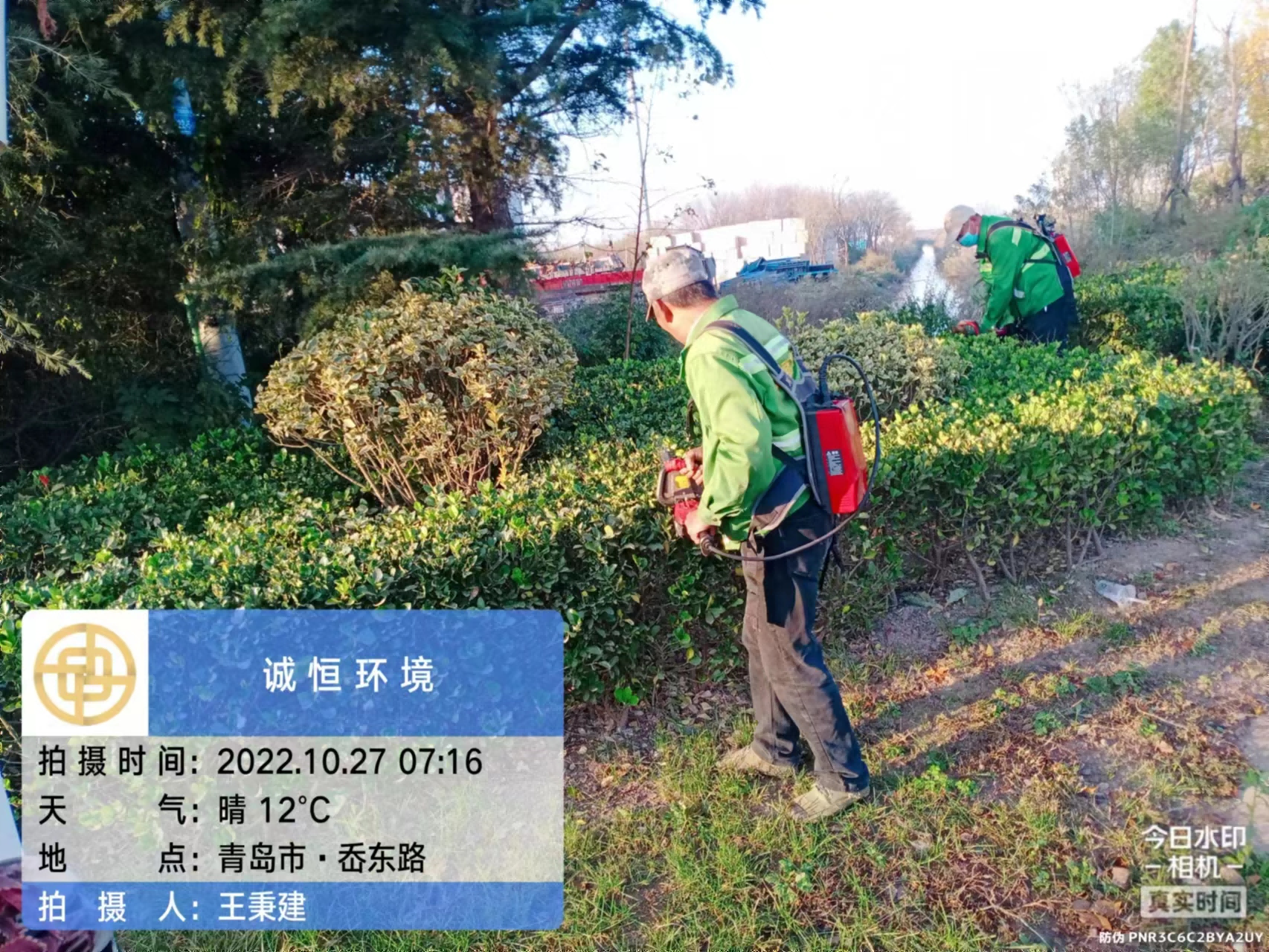 e74379a4732a41eeac4a14e52fcdd493.png