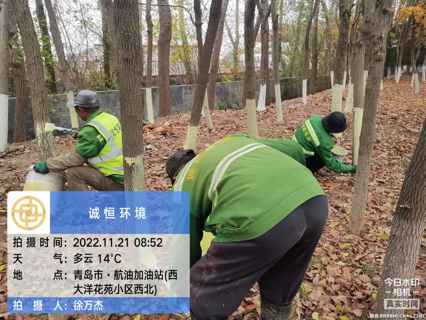 dec370e191f648a391782fbb2822063c.png